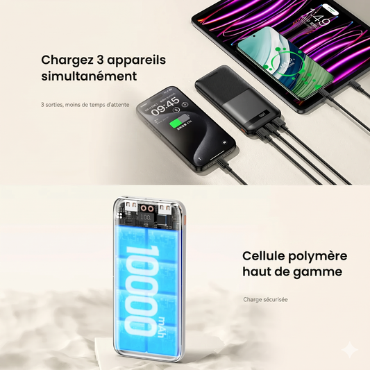 Batterie de Secours à Charge Rapid . Série Piloteer PD+QC
